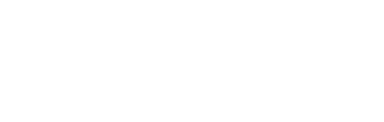 Connext Vivendi Logo